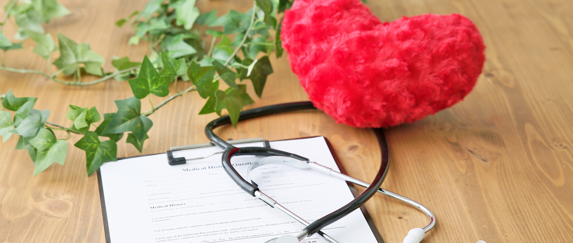 宮崎市佐土原町下田島、上宮本停留所、整形外科