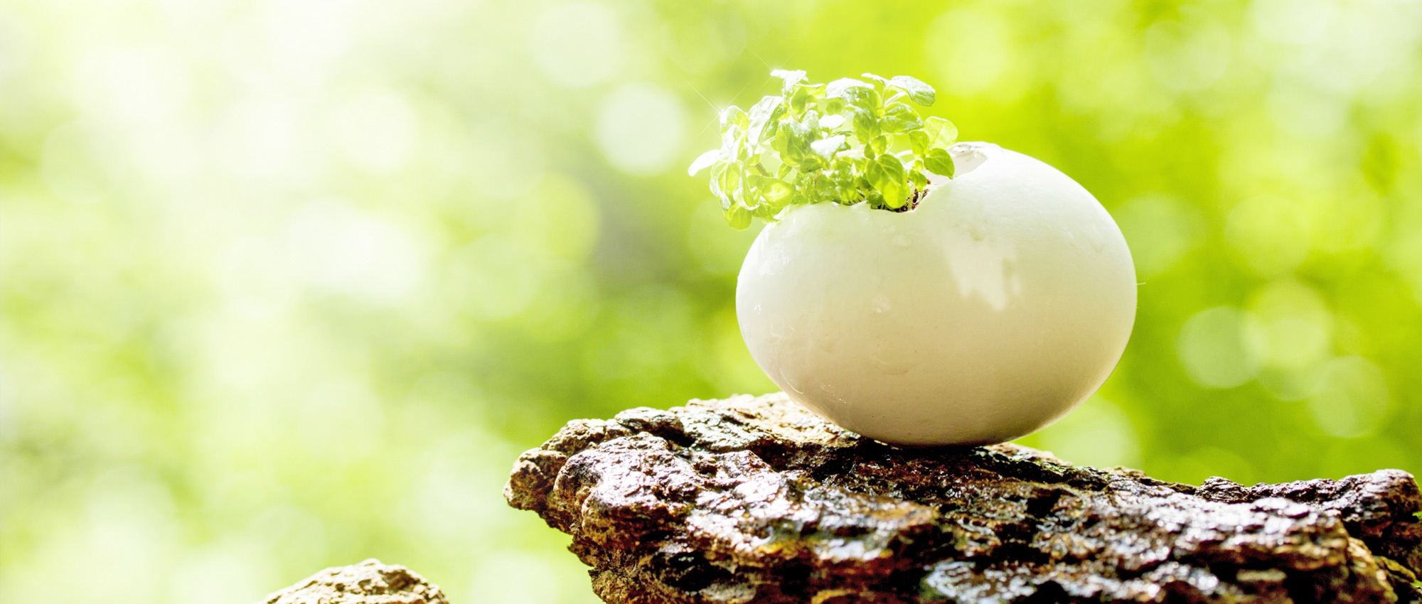 宮崎市佐土原町下田島、上宮本停留所、整形外科